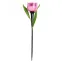 Светодиодный садовый светильник на солнечной батарее СОЛАР USL-C-451/PT305 PINK TULIP