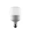 Лампа светодиодная матовая LED-M80-50W/6500K/E27/FR/NR cерия Norma Дневной 6500K