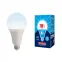 Лампа светодиодная LED-A95-35W/4000K/E27/FR/NR LED мощная 35 ватт А95 матовая Е27 серия Norma 4000K | UL-00005608 | Volpe