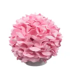                  Светильник светодиодный со сменной лампой (в/к) Гортензия Белый/Светлая роза E27, теплый белый свет (3000K). Плафон D150мм, прозрачный. Белое основание. TM
               