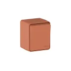 AtlasDesign PROFI IP54 О/У 1-клавишный ВЫКЛЮЧАТЕЛЬ с самовозвратом 10 АХ, ТЕРРАКОТОВЫЙ