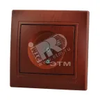                  Мира Розетка ТВ оконечная вишня
               