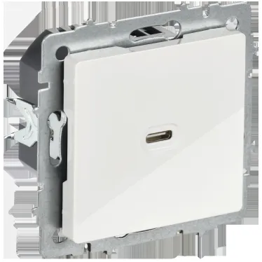 BRITE Розетка USB C 65Вт высокоскоростная зарядка РЮ12-1-БрБ белый IEK