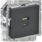                  BRITE Розетка USB A+C 45Вт высокоскоростная зарядка РЮ11-2-БрГ графит IEK
               