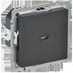                  BRITE Розетка USB C 65Вт высокоскоростная зарядка РЮ12-1-БрГ графит IEK
               