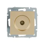                  VESNA Розетка ТВ проходная золото
               