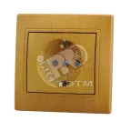                  MIRA Розетка с заземлением ольха
               