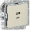 BRITE Розетка USB A+C 45Вт высокоскоростная зарядка РЮ11-2-БрКр бежевый IEK