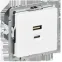 BRITE Розетка USB A+C 45Вт высокоскоростная зарядка РЮ11-2-БрАБ арктический белый IEK
