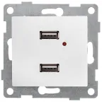                  Розетка USB Bravo, механизм, двойной, жемчуг
               