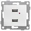 Розетка USB Bravo, механизм, двойной, белый
