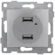 Розетка USB Bravo, механизм, двойной, серебро