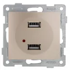                  Розетка USB Bravo, механизм, двойной, шампань
               