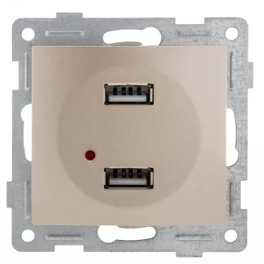 Розетка USB Bravo, механизм, двойной, шампань