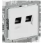 BRITE Розетка компьютерная двойная RJ45 кат.6 РК11-2-БрАБ арктический белый IEK