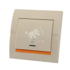 DERIY Выкл. прох. с подсв. ПБТ крем