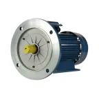 Электродвигатель 5АИ 90 L4 2.2/1500 IM 2081