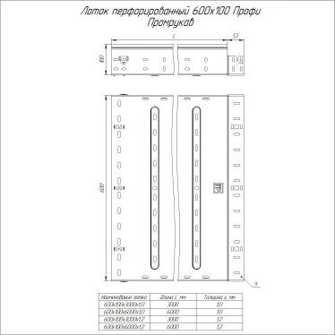 Лоток перфорированный Профи INOX (AISI 304) 600х100x6000 (1,2 мм) (12 м/уп)