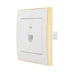 Розетка RAIN компьютерная белая с боковой вставкой золото
