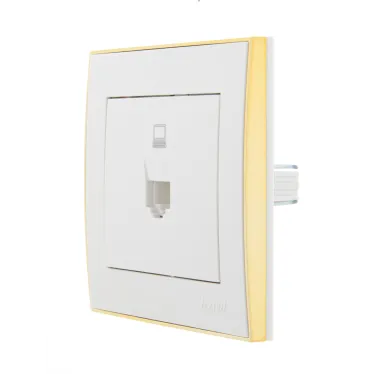Розетка RAIN компьютерная белая с боковой вставкой золото