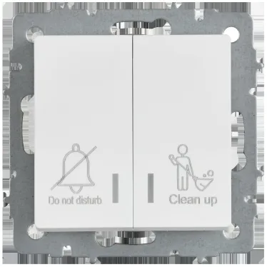 BRITE Выключатель 2-клавишный с индикацией для отелей 10А ВС10-2-9-БрАБ арктический белый IEK