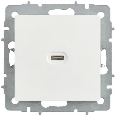 BRITE Розетка USB C 65Вт высокоскоростная зарядка РЮ12-1-БрБ белый IEK