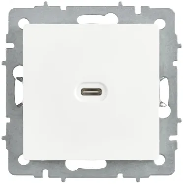 BRITE Розетка USB C 65Вт высокоскоростная зарядка РЮ12-1-БрАБ арктический белый IEK