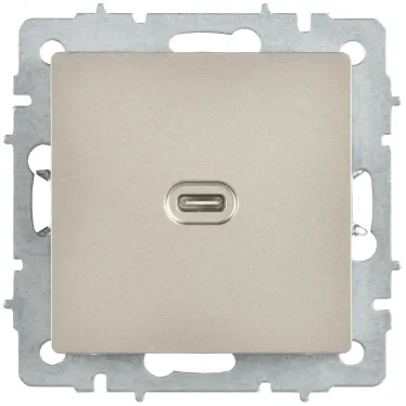 BRITE Розетка USB C 65Вт высокоскоростная зарядка РЮ12-1-БрШ шампань IEK