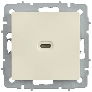 BRITE Розетка USB C 65Вт высокоскоростная зарядка РЮ12-1-БрКр бежевый IEK