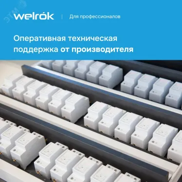Реле напряжения Welrok D2-40