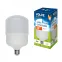 Лампа светодиодная LED-M80-30W/DW/E27/FR/S Матовая. Simple. Дневной свет (6500K).