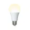 Лампа светодиодная LED-A60-16W/WW/E27/FR/NR Форма A, матовая. Серия Norma. Теплый белый свет (3000K). Картон. ТМ Volpe