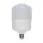 Лампа светодиодная LED-M80-30W/DW/E27/FR/S Матовая. Simple. Дневной свет (6500K).