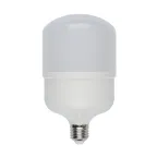 Лампа светодиодная LED-M80-30W/DW/E27/FR/S Матовая. Simple. Дневной свет (6500K).