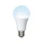 Лампа светодиодная LED-A65-20W/DW/E27/FR/NR Форма A, матовая. Norma. Дневной (6500K).