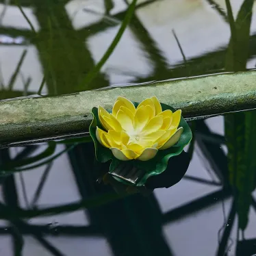 Садовый светильник на солнечной батарее Желтая кувшинка Плавающий. 1 светодиода Теплый белый свет 1xААA Ni-Mh аккумулятор в комплекте IP44 USL-S-827/PT060 YELLOW WATERLILY