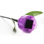 Светодиодный садовый светильник на солнечной батарее СОЛАР USL-C-453/PT305 PURPLE TULIP