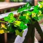 Садовая гирлянда на солнечной батарее USL-S-135/PT2000 IVY Плющ 20 светодиодов Теплый белый свет 1*АА Ni-Mh аккумулятор в/к IP44