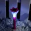Светодиодный садовый светильник USL-C-420/PT305 PINK CROCUS на солнечной батарее,белый свет. 1*LR Ni-Mh аккумулятор в/к. IP44