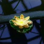 Садовый светильник на солнечной батарее Желтая кувшинка Плавающий. 1 светодиода Теплый белый свет 1xААA Ni-Mh аккумулятор в комплекте IP44 USL-S-827/PT060 YELLOW WATERLILY