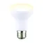 Лампа светодиодная Форма Рефлектор матовая Norma Теплый (3000K) LED-R63-11W/3000K/E27/FR/NR