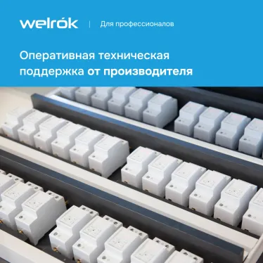 Реле напряжения Welrok D2-50 red