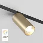 Светильник акцентный SMART SPOT 9 Вт DIM 3000 К-6000 К матов. зол. с черн. DENKIRS DK8010-BG