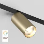 Светильник акцентный SMART SPOT 20 Вт DIM 3000 К-6000 К матов. зол. с черн. DENKIRS DK8020-BG