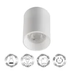 Светильник светодиодный накладной DK3110-WH IP20, 10Вт, GU5.3, LED, белый, пластик | DK3110-WH | DENKIRS