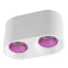 Светильник накладной IP20 10 Вт GU5.3 LED бел./роз. пластик DENKIRS DK3096-WH+PI
