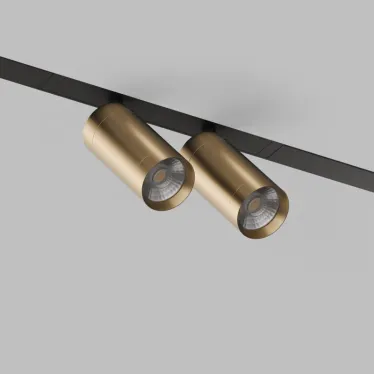 Светильник акцентный SMART SPOT DOUBLE 2х9 Вт DIM 3000 К-6000 К матов. зол. с черн. DENKIRS DK8012-BG