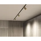 Светильник акцентный SMART SPOT 9 Вт DIM 3000 К-6000 К матов. зол. с черн. DENKIRS DK8010-BG