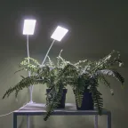 Светильник для растений светодиодный с таймером 24 Вт на прищепке Спектр для фотосинтеза TM Uniel ULT-P37-24W/SPFR/TM/60 IP40 WHITE TWIN