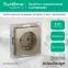 Розетка ATLASDESIGN с заземлением со шторками 16А механизм шампань